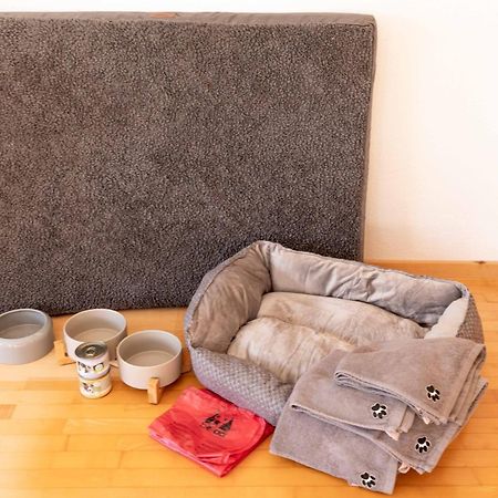 Haus Theresia Ruef Au (Vorarlberg) Екстериор снимка